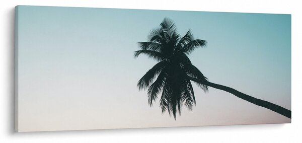 Kép - Pálmafa Balin (120x50 cm)