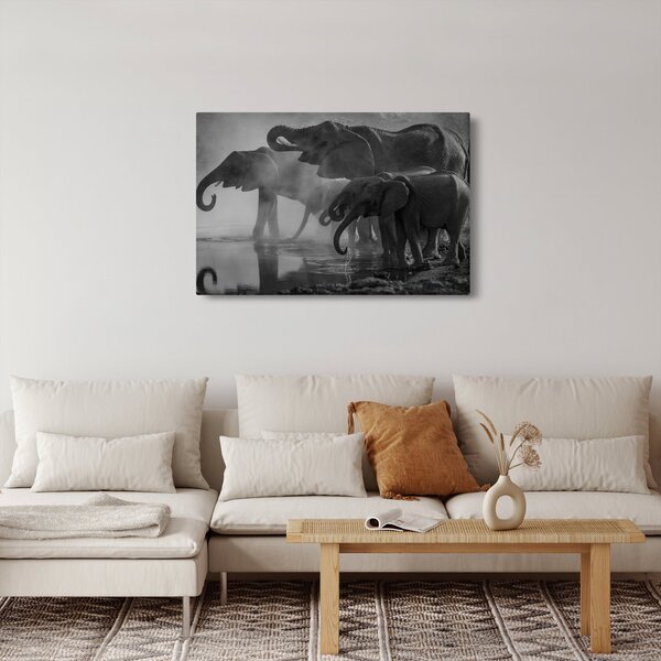 Elefánt képe - fekete fehér (90x60 cm)