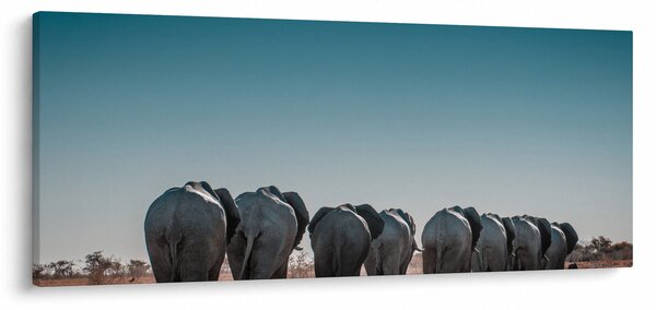 Kép - Elefántok indulása (120x50 cm)