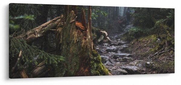 Kép - Az erdőben (120x50 cm)