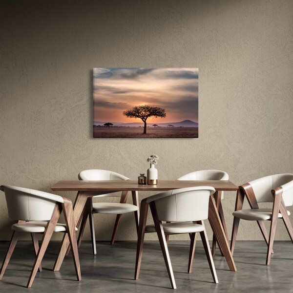 Naplemente képe Tanzániában (90x60 cm)