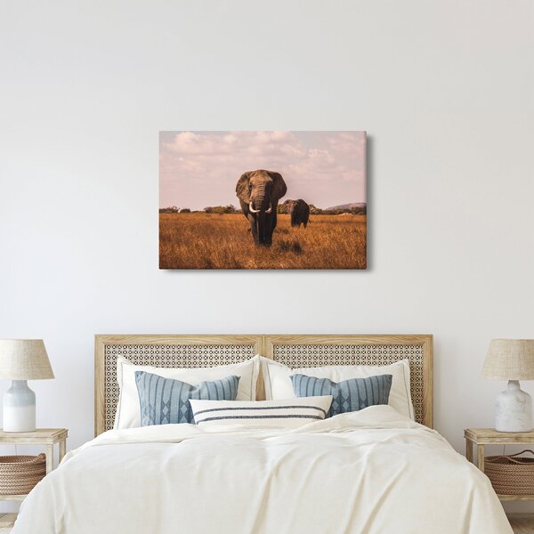 Kép - Az elefánt érkezése (90x60 cm)