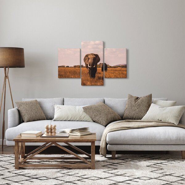 Kép - Az elefánt érkezése (90x60 cm)