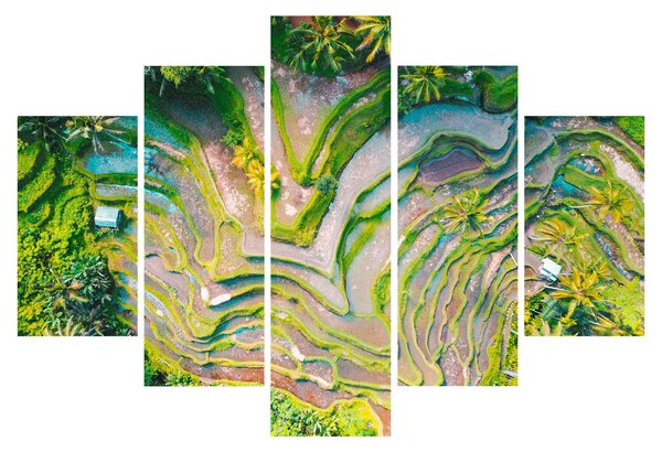 A rizsföldek képe madártávlatból (150x105 cm)