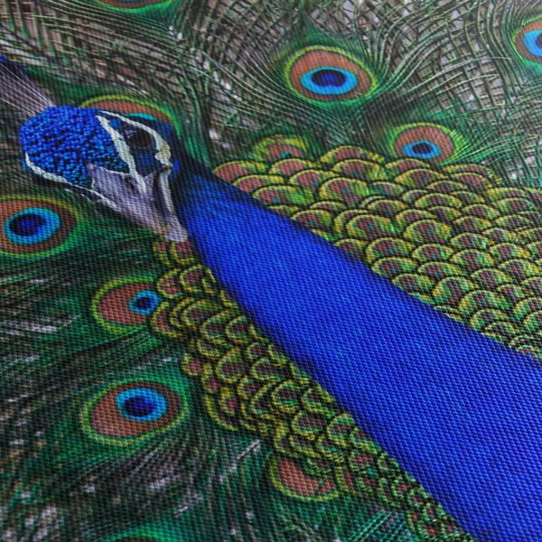 Kép - Páva (órával) (90x30 cm)