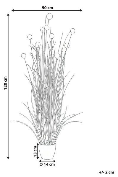 Műnövény POMPOM GRASS 120 cm Zöld