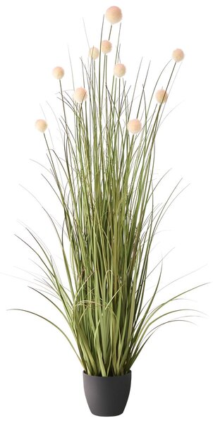 Műnövény POMPOM GRASS 120 cm Zöld