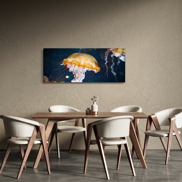 Medúza képe (120x50 cm)