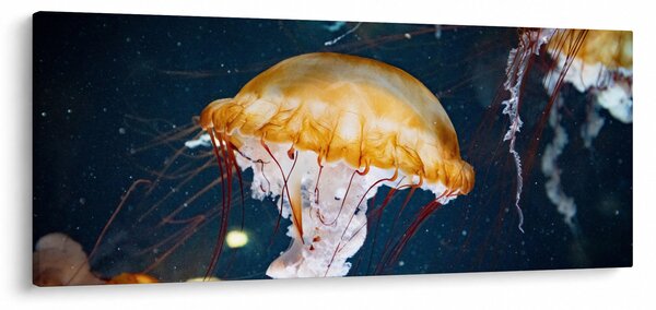 Medúza képe (120x50 cm)