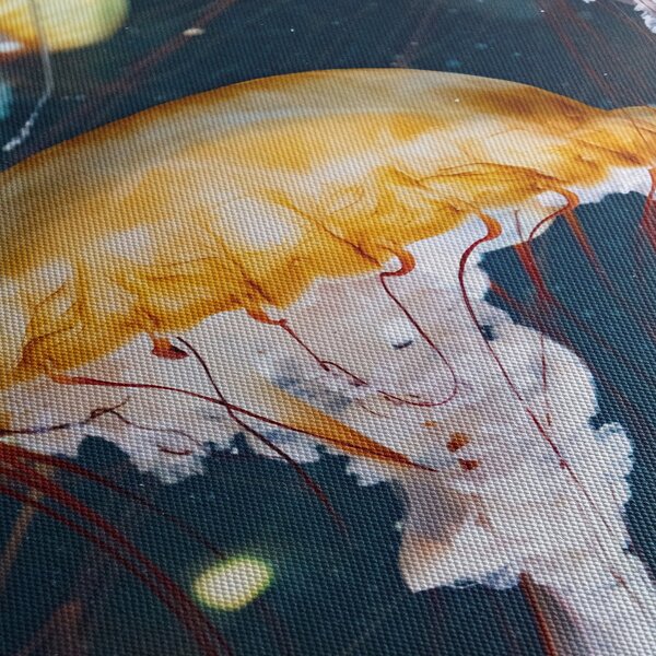 Medúza képe (70x50 cm)