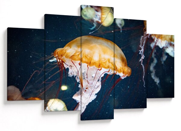 Medúza képe (150x105 cm)