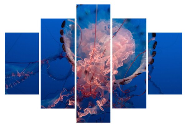 Medúza képe (150x105 cm)