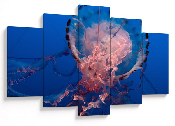 Medúza képe (150x105 cm)