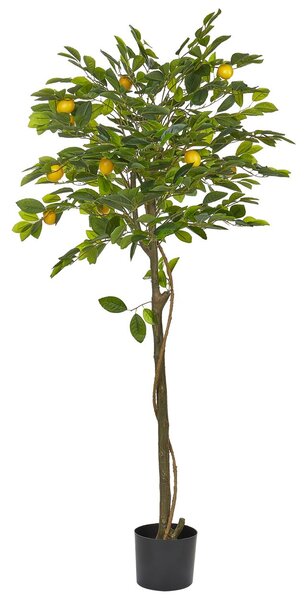 Műnövény LEMON TREE 156 cm Zöld