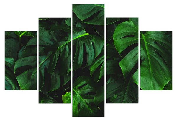 Monstery levelek képe (150x105 cm)