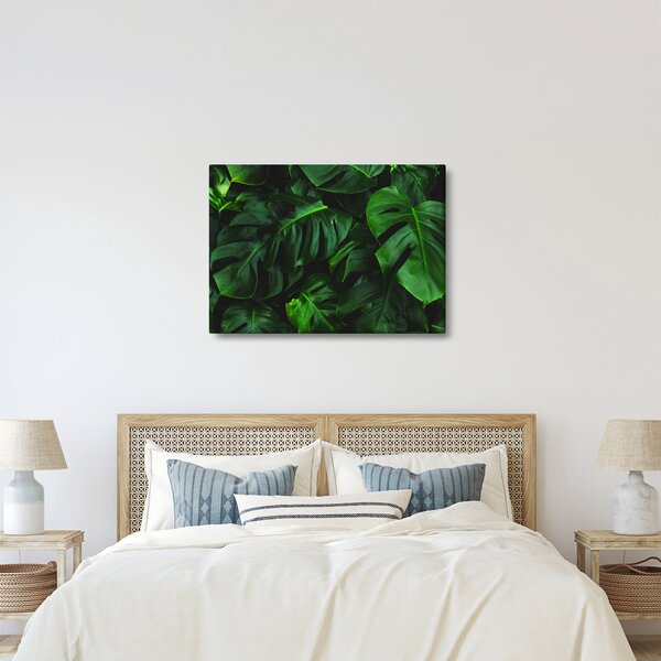 Monstery levelek képe (70x50 cm)