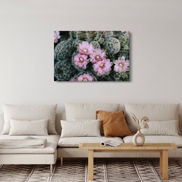 Kaktusz virágának képe (90x60 cm)