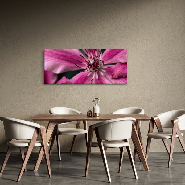 Rózsaszín flamingóvirág képe (120x50 cm)