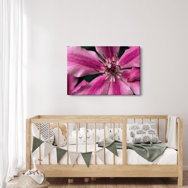 Rózsaszín flamingóvirág képe (90x60 cm)