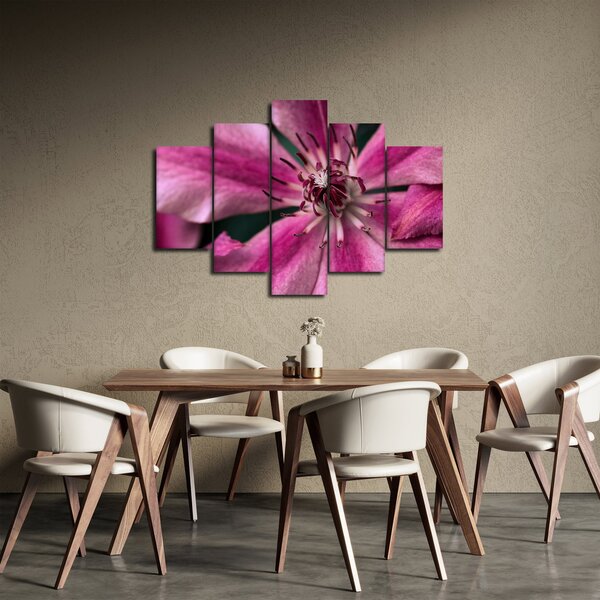 Rózsaszín flamingóvirág képe (150x105 cm)