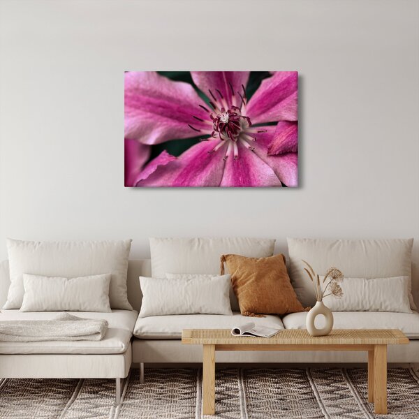 Rózsaszín flamingóvirág képe (90x60 cm)