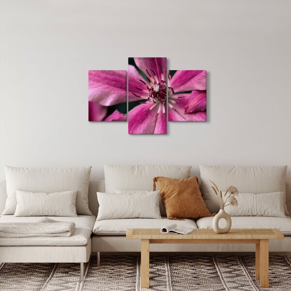 Rózsaszín flamingóvirág képe (90x60 cm)