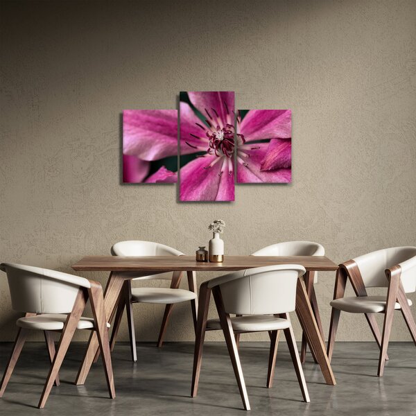 Rózsaszín flamingóvirág képe (90x60 cm)