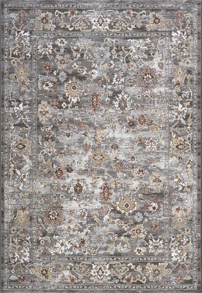 Regal szürke szőnyeg 63839/3268 120x170 beige-barna