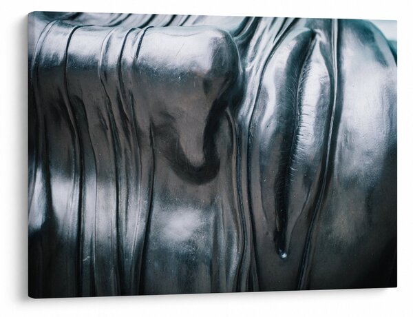 Kép - Acél arc (70x50 cm)