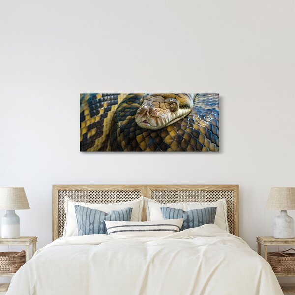Kép - Piton (120x50 cm)