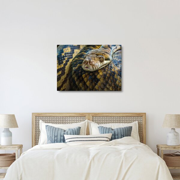Kép - Piton (70x50 cm)