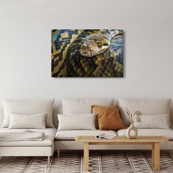 Kép - Piton (90x60 cm)