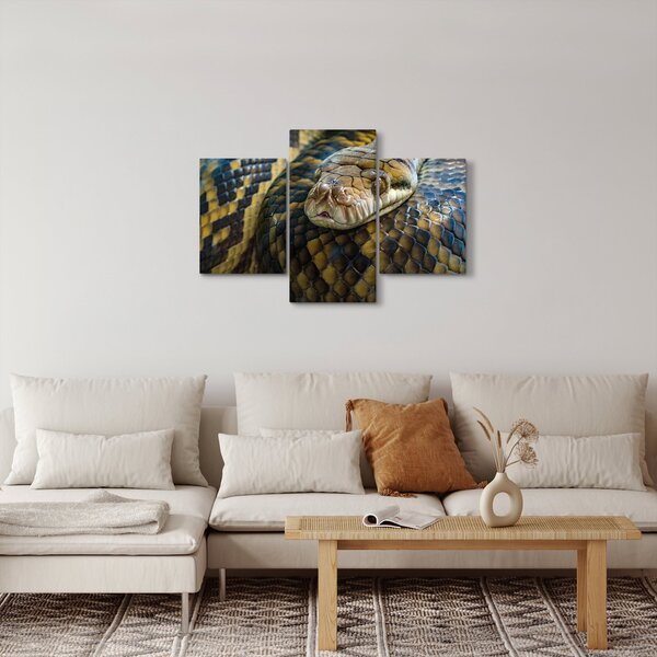 Kép - Piton (90x60 cm)