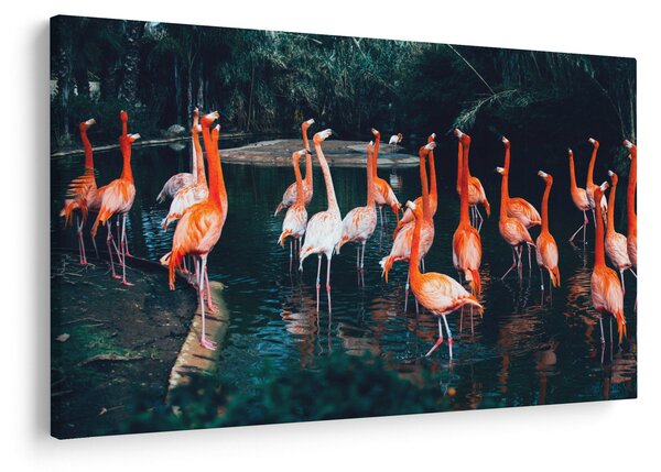 Flamingók csordája (90x60 cm)