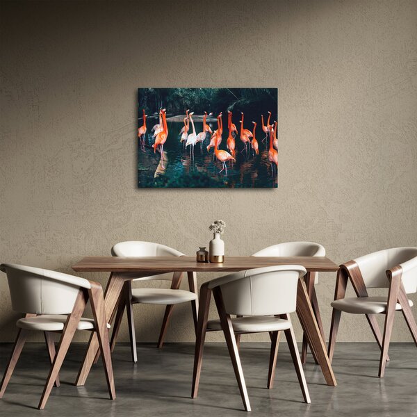Flamingók csordája (70x50 cm)