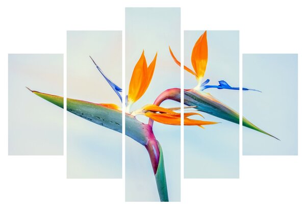 Virág képe (150x105 cm)