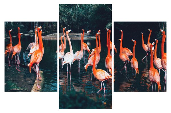 Flamingók csordája (90x60 cm)