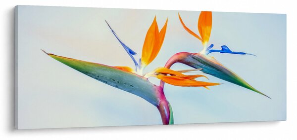 Virág képe (120x50 cm)