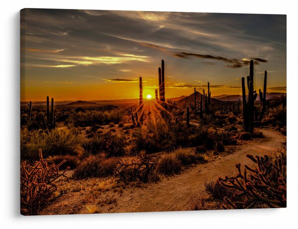 Kép - A nap vége az arizonai sivatagban (70x50 cm)