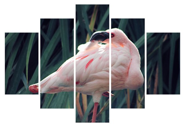 Kép - Flamingó (150x105 cm)