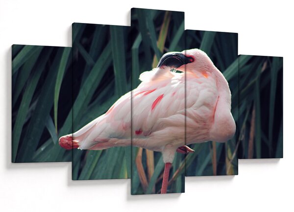 Kép - Flamingó (150x105 cm)