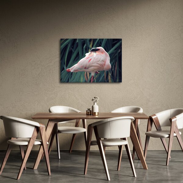 Kép - Flamingó (70x50 cm)