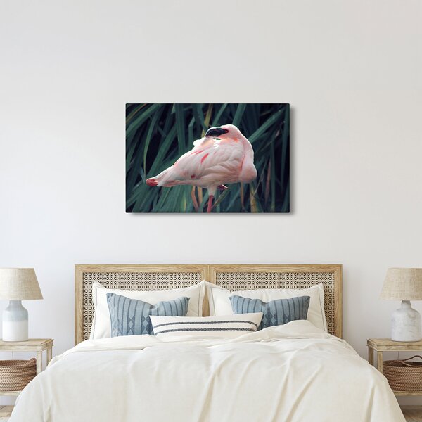 Kép - Flamingó (90x60 cm)