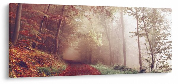 Kép - Őszi séta az erdőben (120x50 cm)