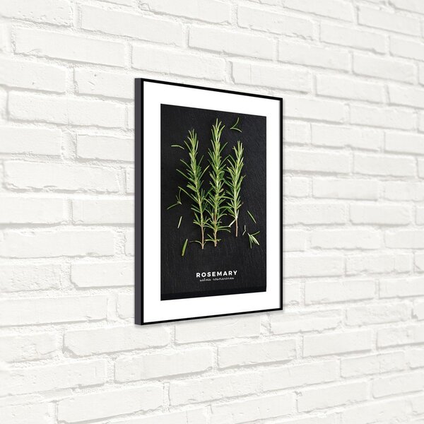 Kép 50x70 cm Rosemary – Styler