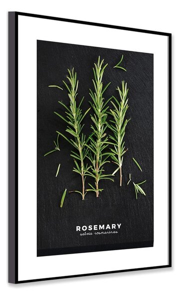 Kép 50x70 cm Rosemary – Styler