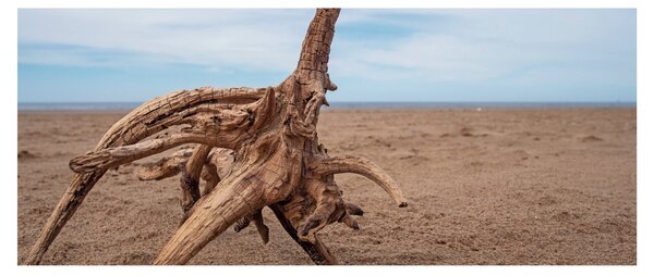 Kép - Áradás a tengeren (120x50 cm)
