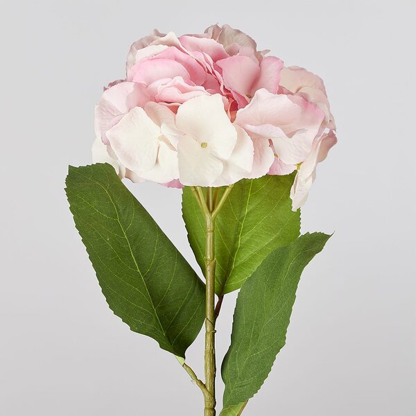 FLORISTA hortenzia, rózsaszín 62 cm