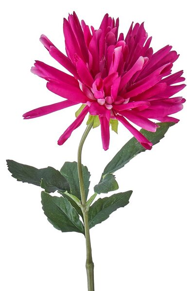 FLORISTA dália, pink 59 cm