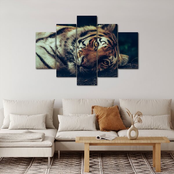 Kép - Szibériai tigris (150x105 cm)